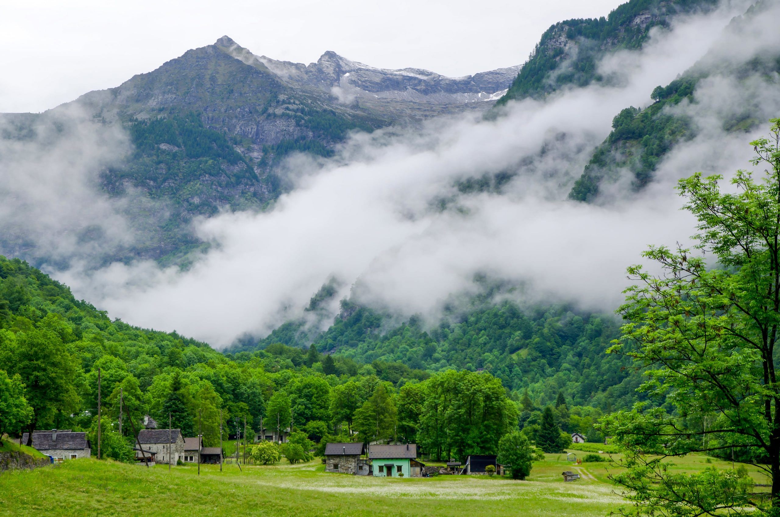 blog-images