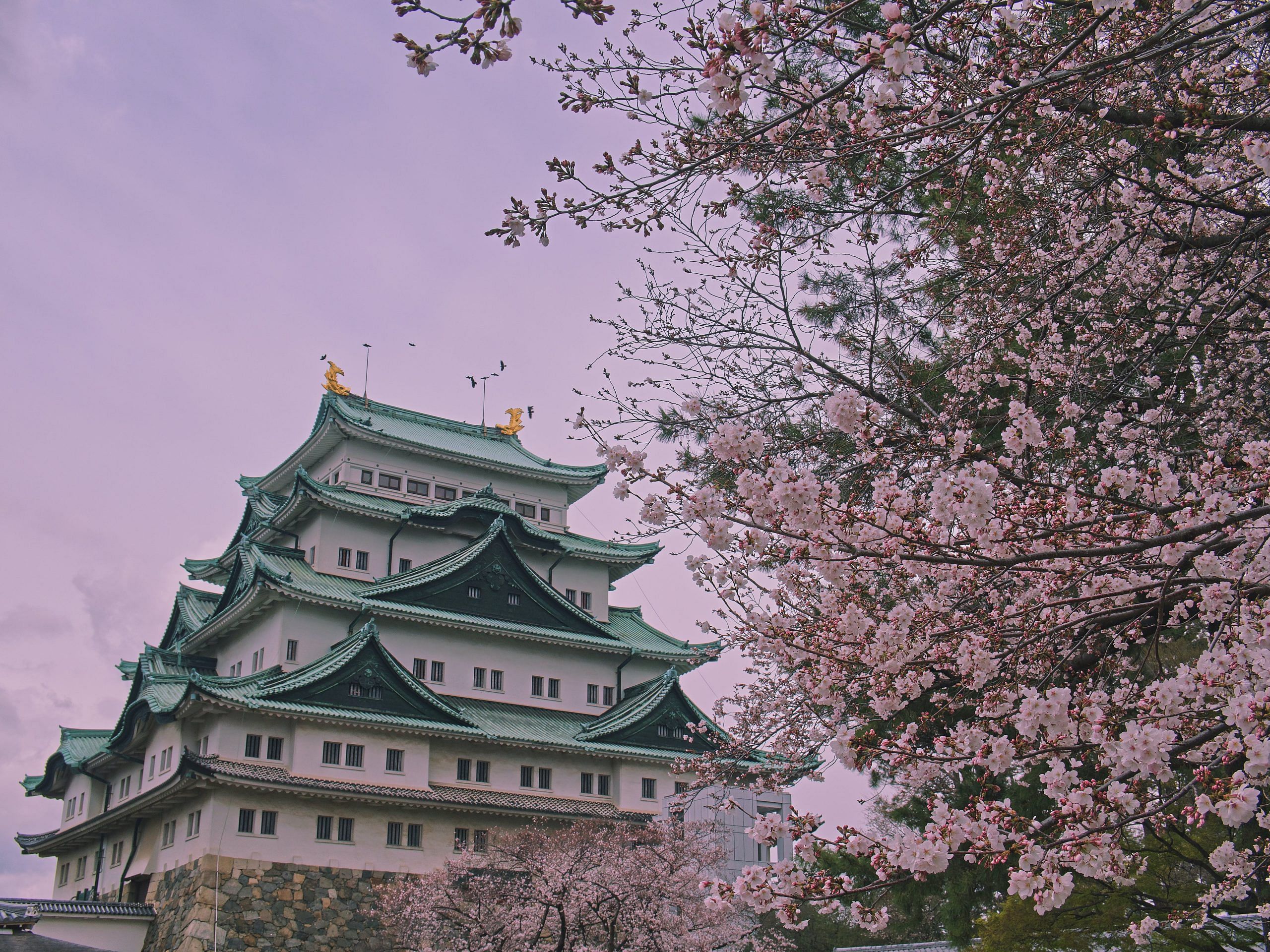blog-images