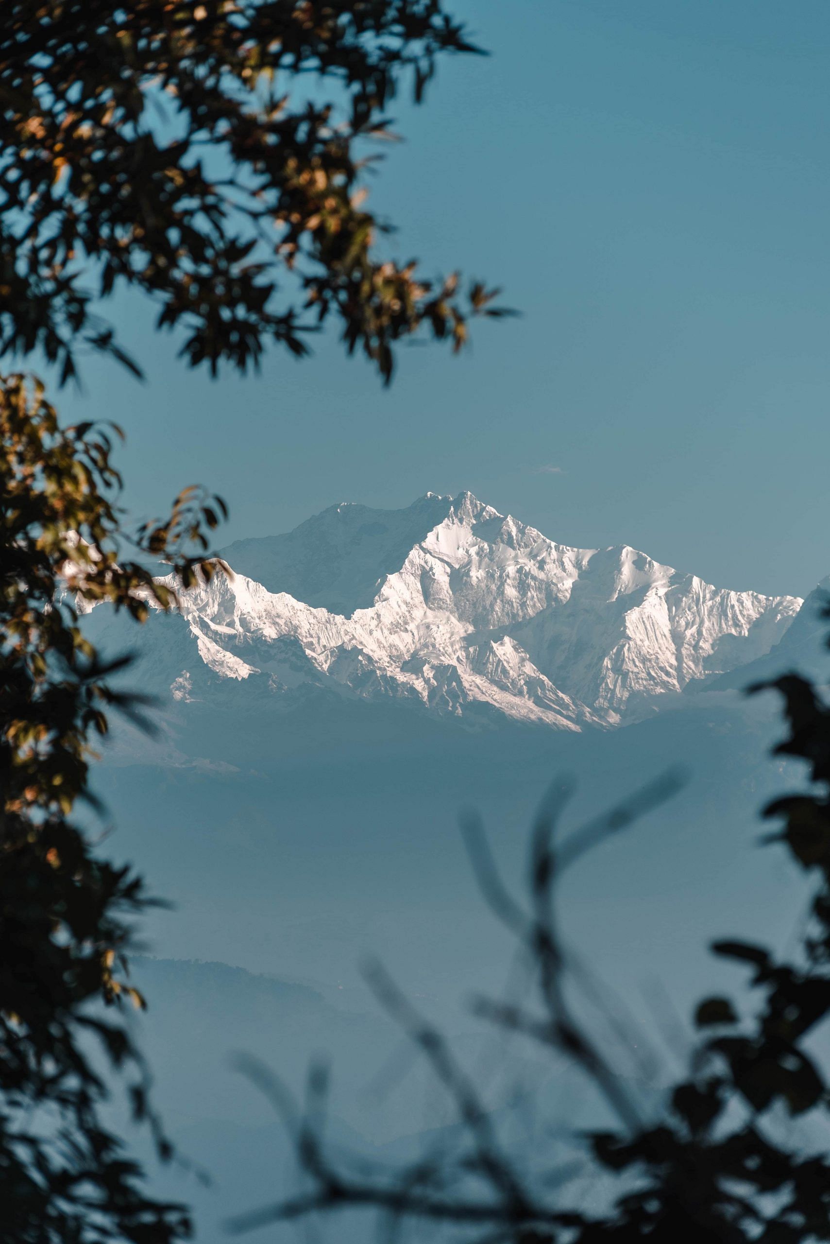 blog-images