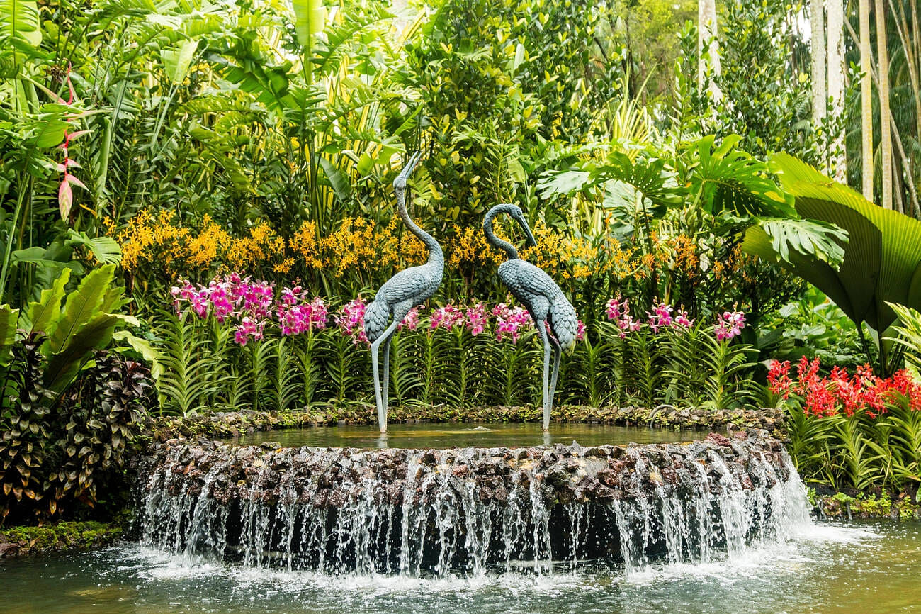 blog-images