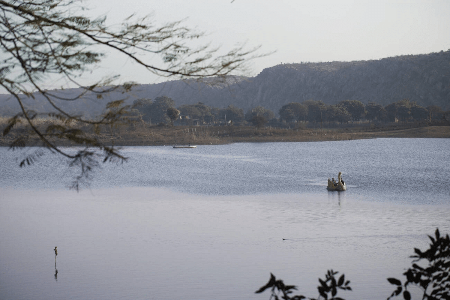 blog-images