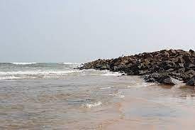 blog-images