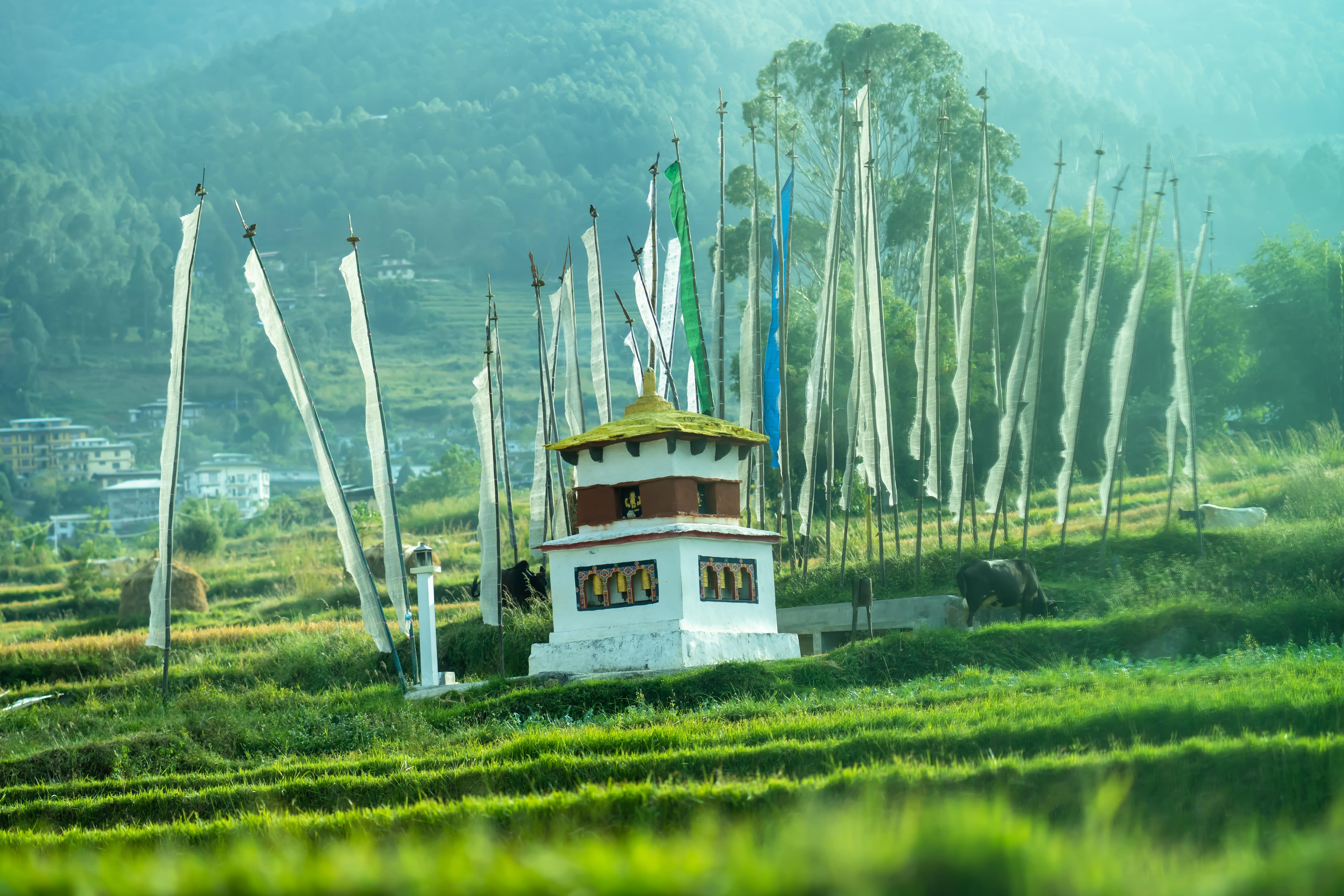 bhutan-in-april