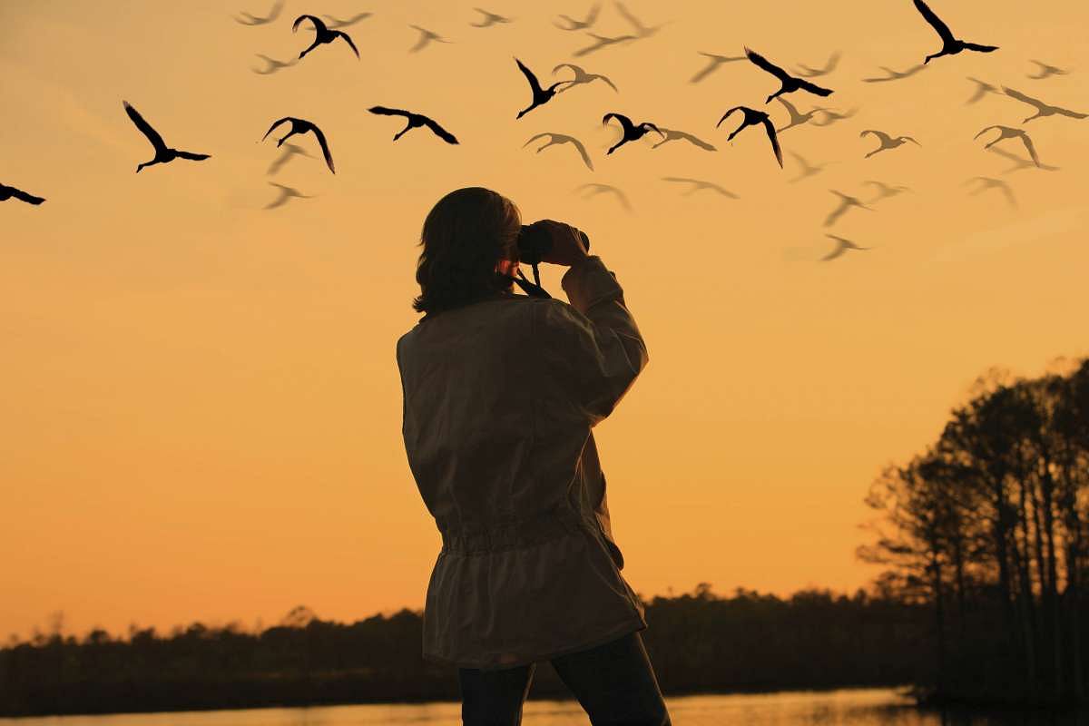 blog-images