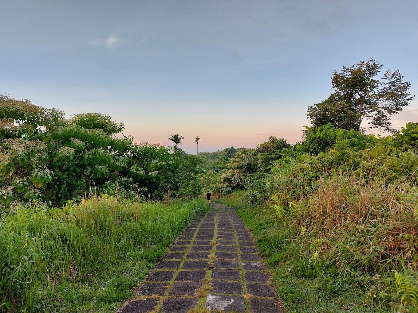 campuhan-ridge