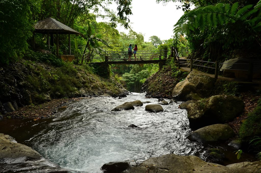 Gitgit Waterfall In Bali - Entrance Fee, How To Reach, & More!