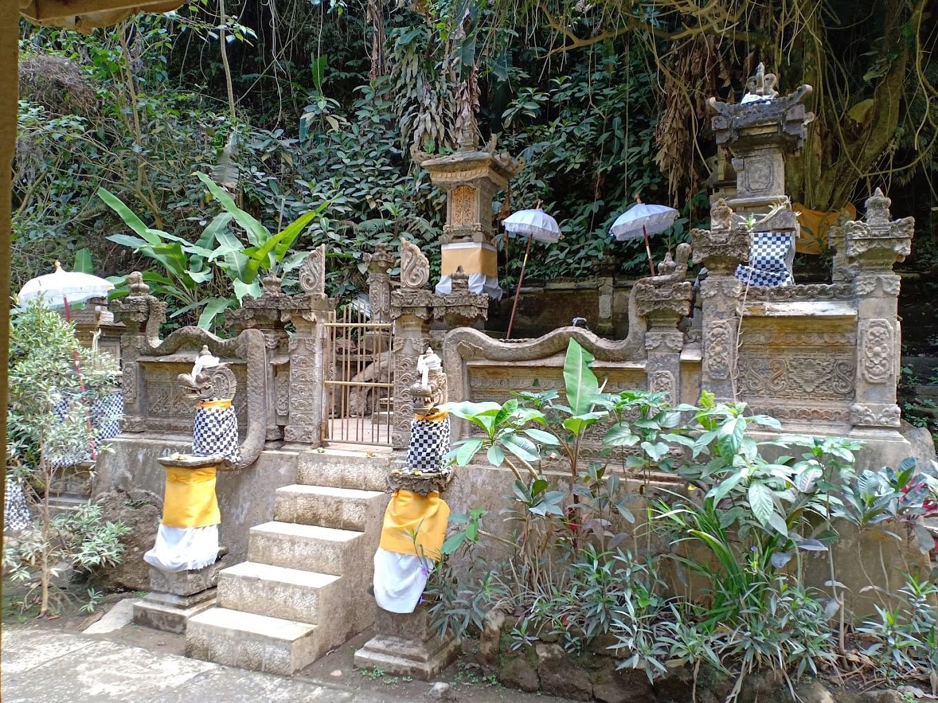 blog-images