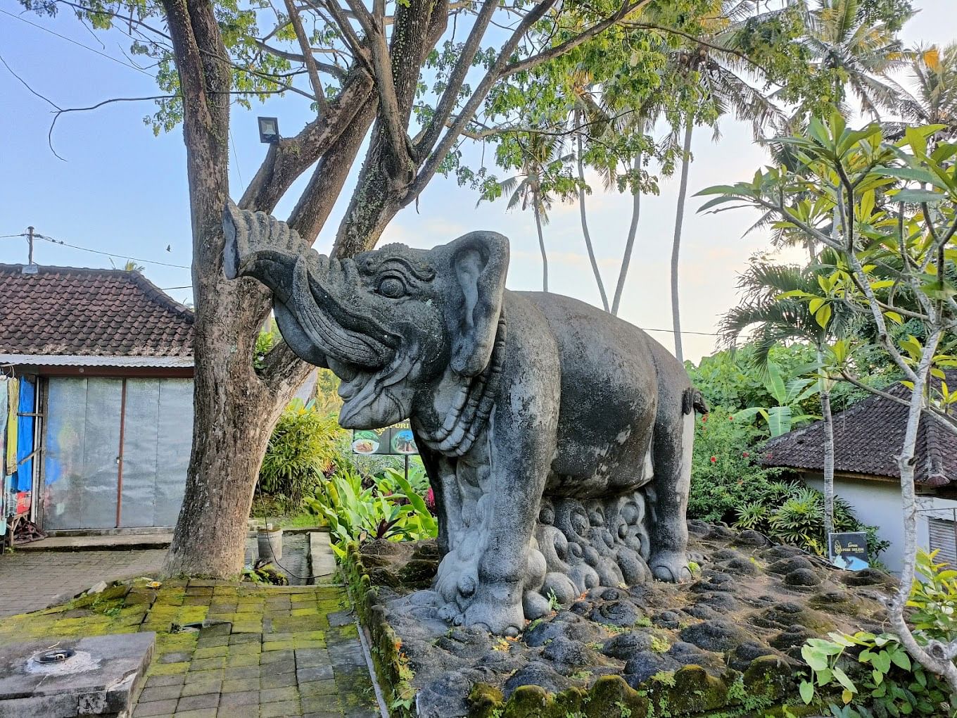 blog-images
