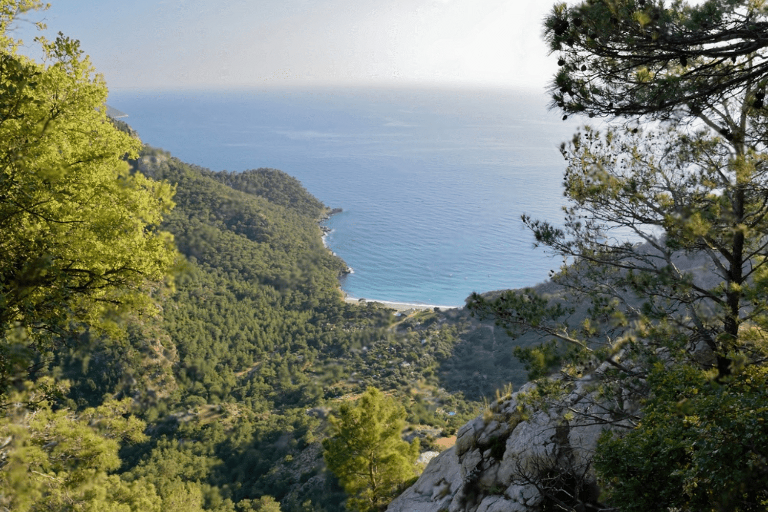 blog-images
