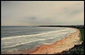 blog-images