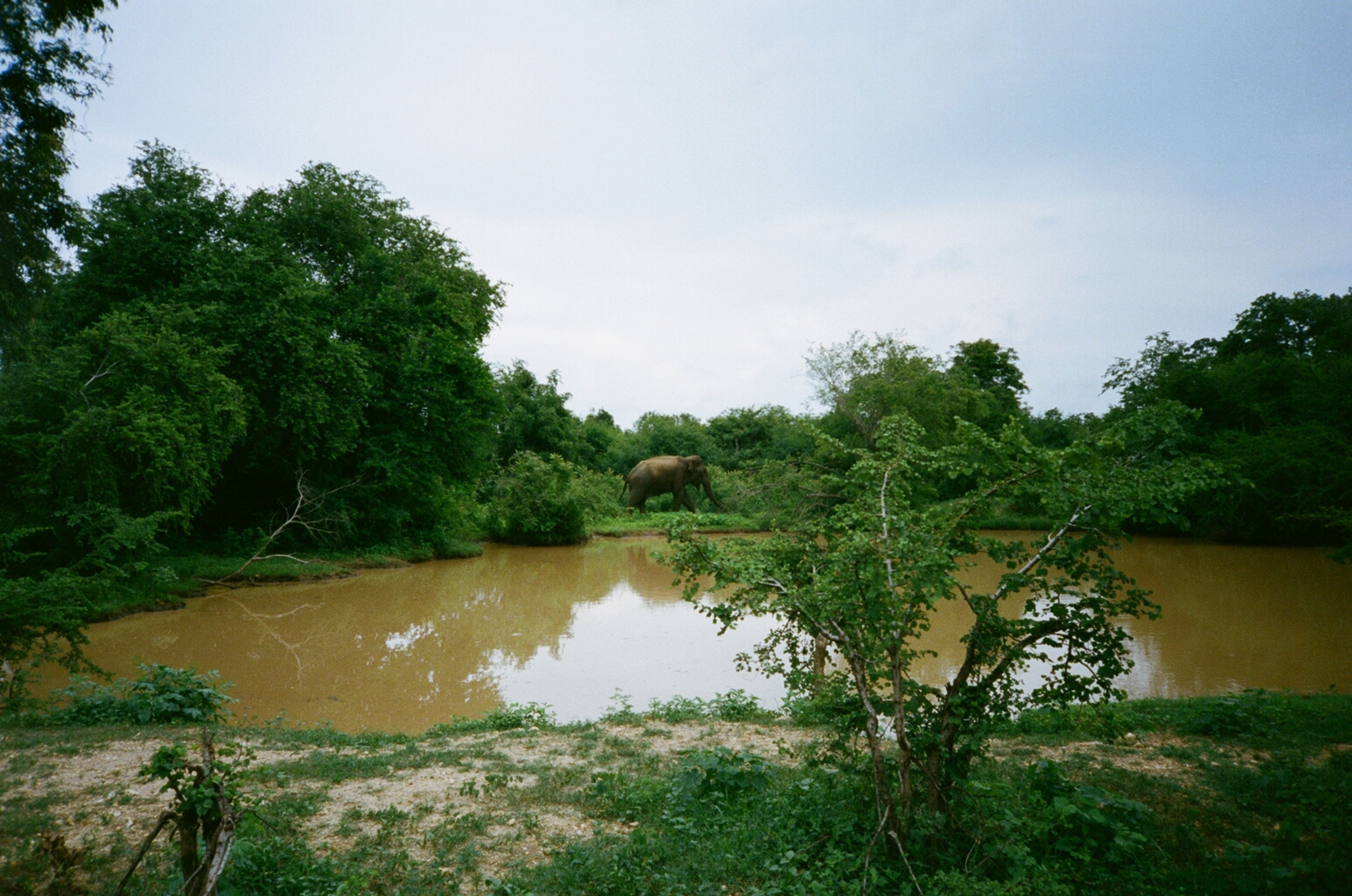 national-parks-in-sri-lanka