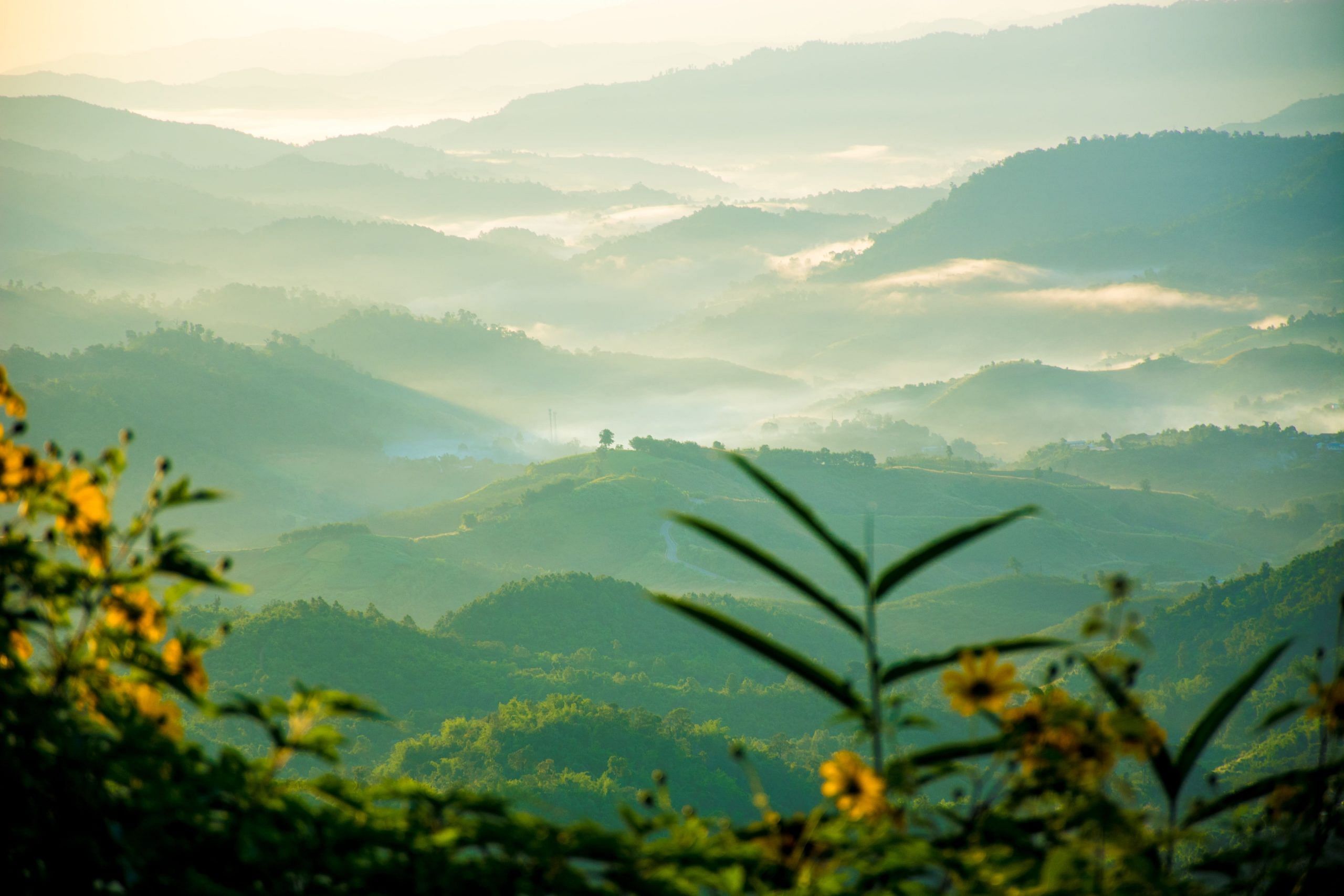 blog-images