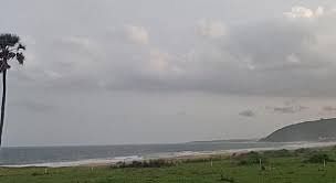blog-images
