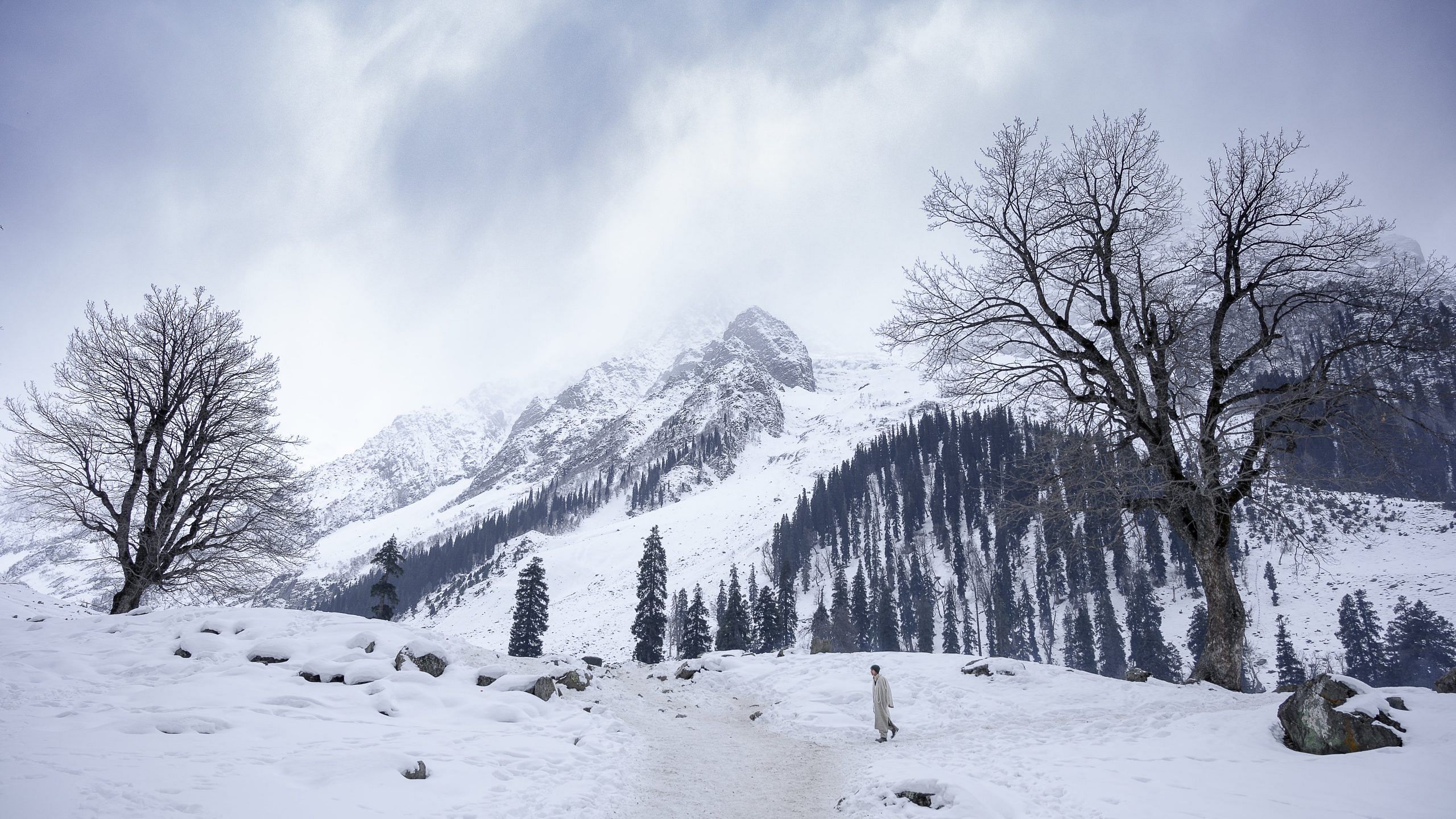 blog-images
