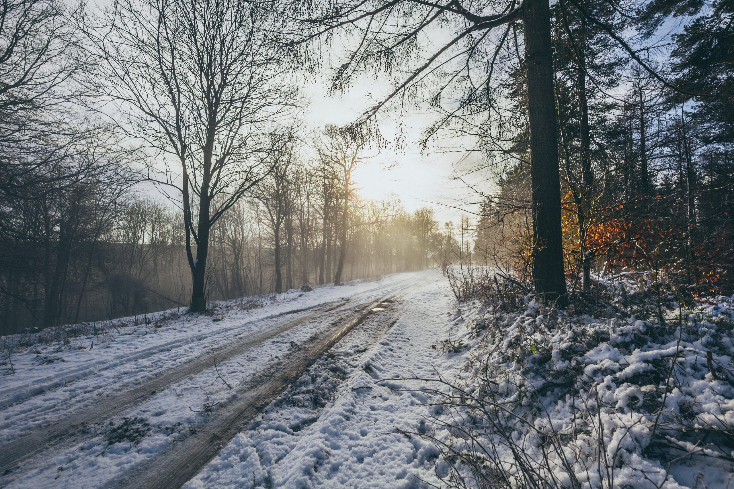 blog-images