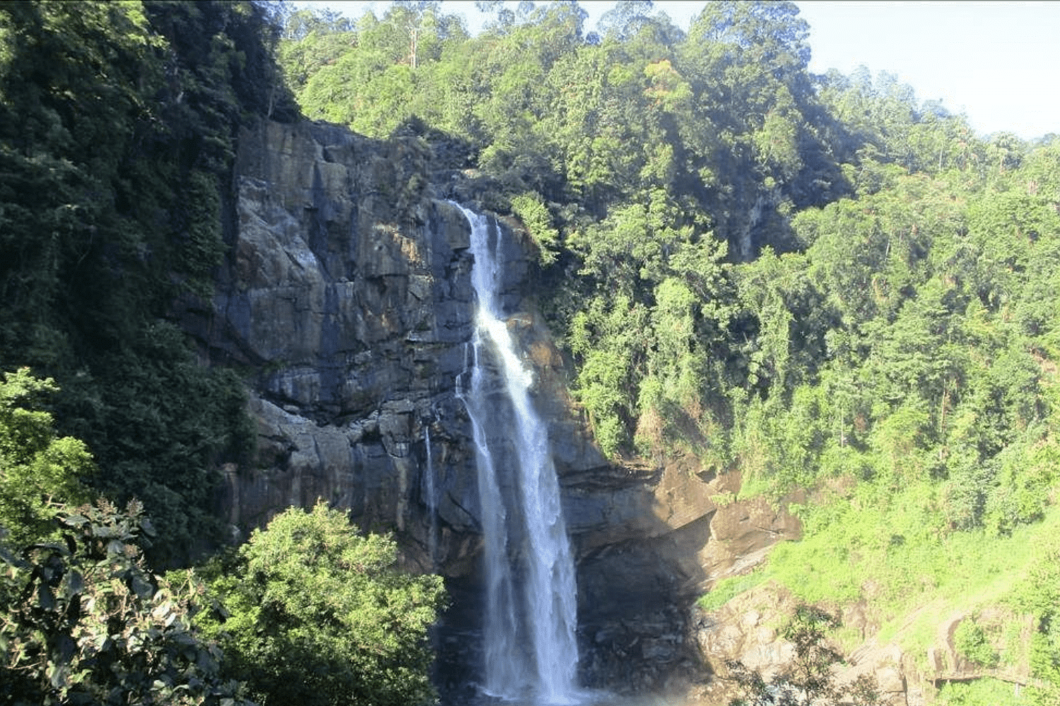 blog-images