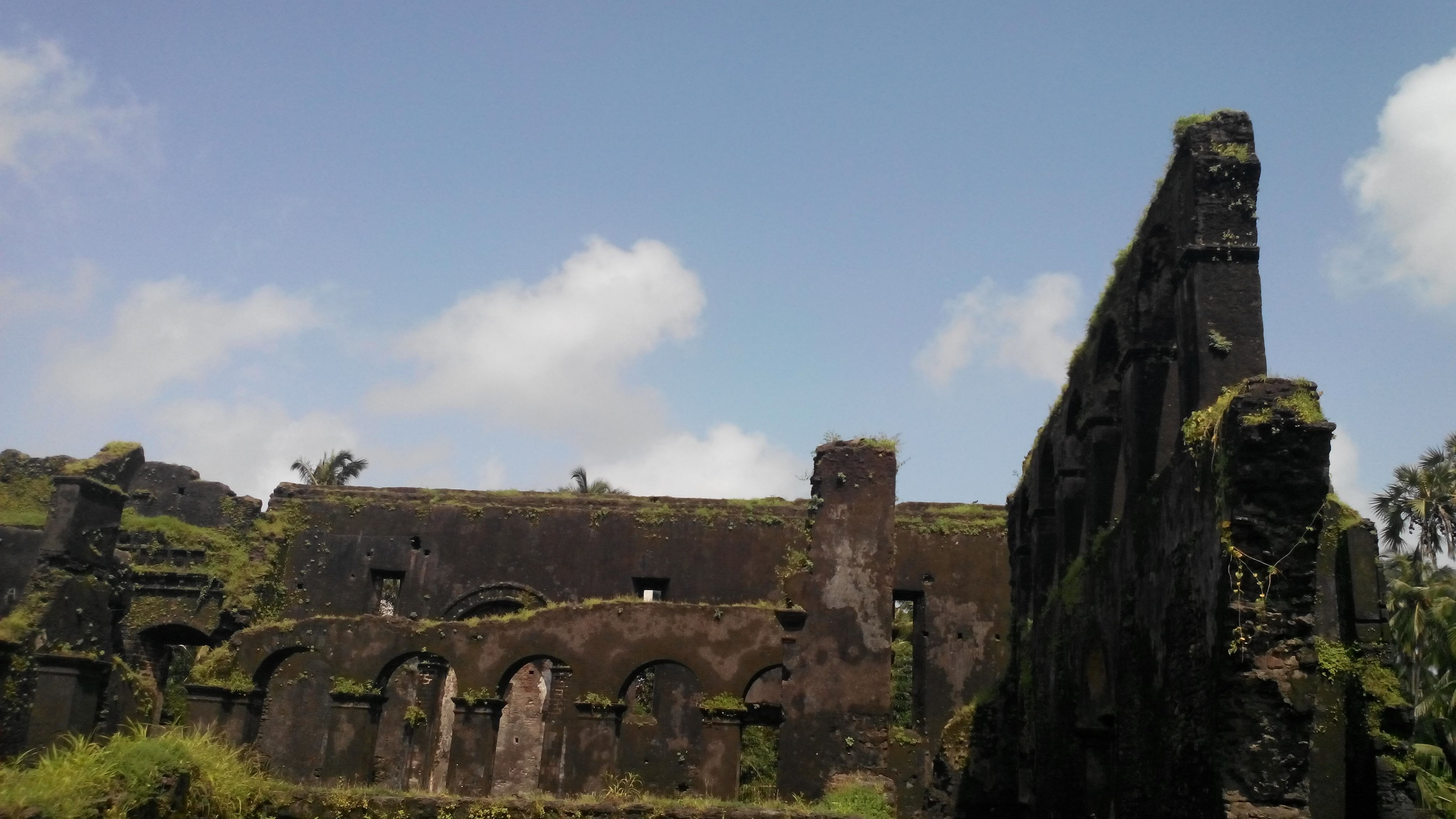 blog-images