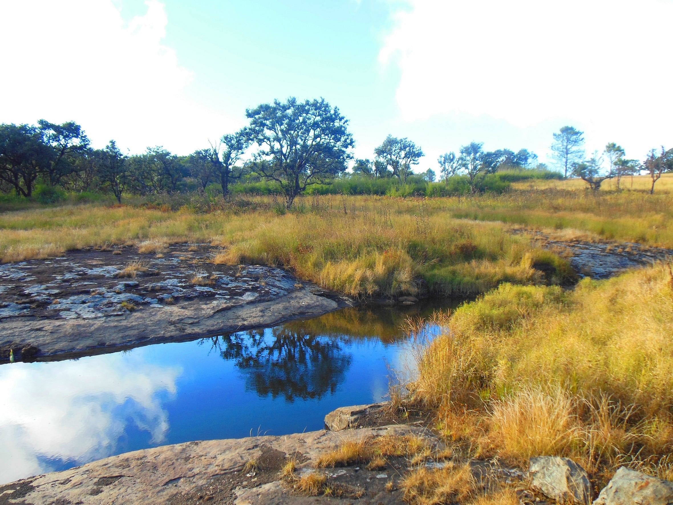 blog-images