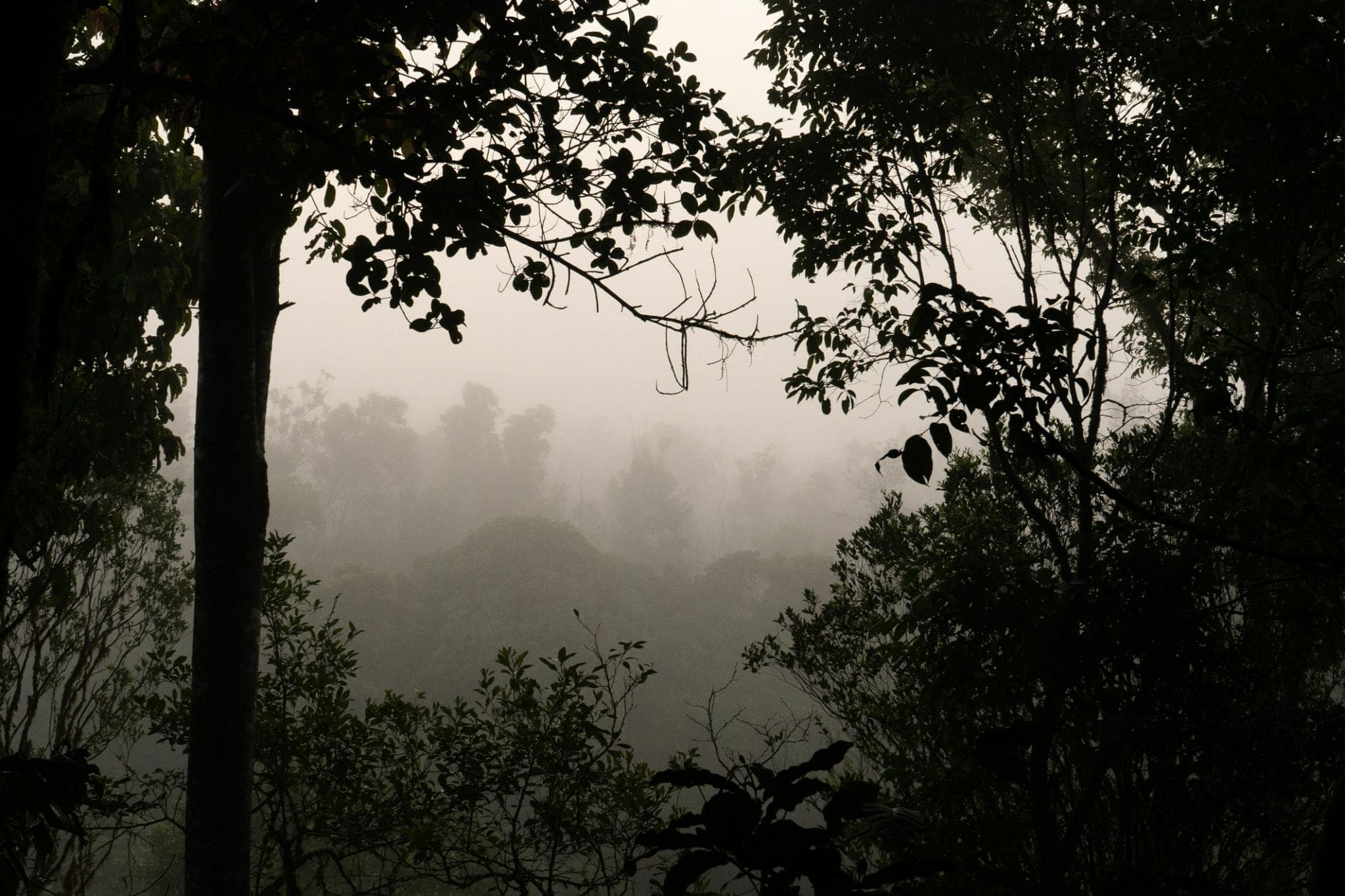 blog-images