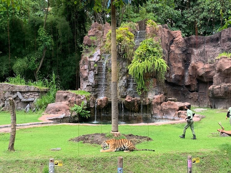 bali-safari-marine-park