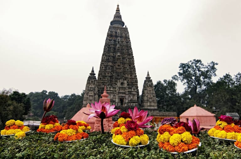 bcf0e676-16d8-4d01-8062-027bbaf256b3