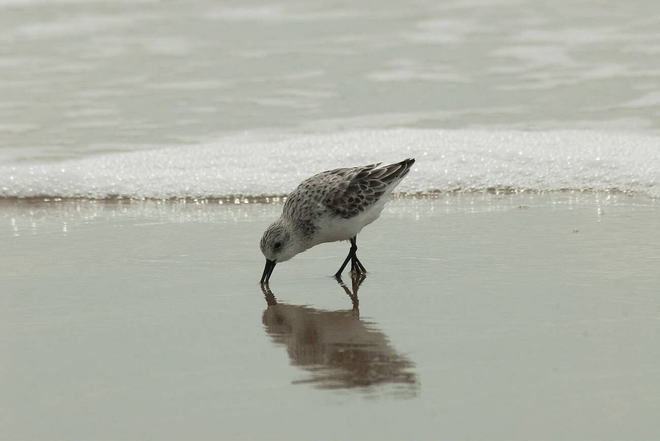 blog-images