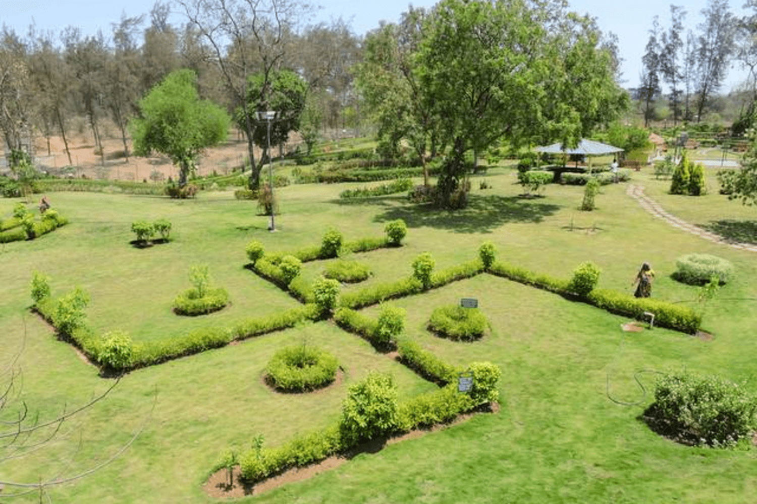 blog-images