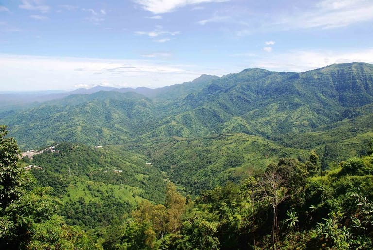 c873fd01-eca0-4a39-8d93-7392ec5162df