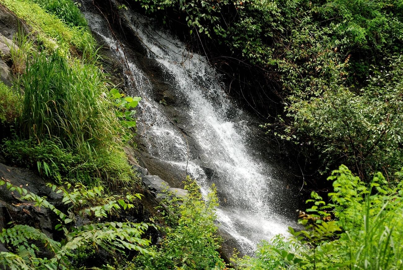 blog-images