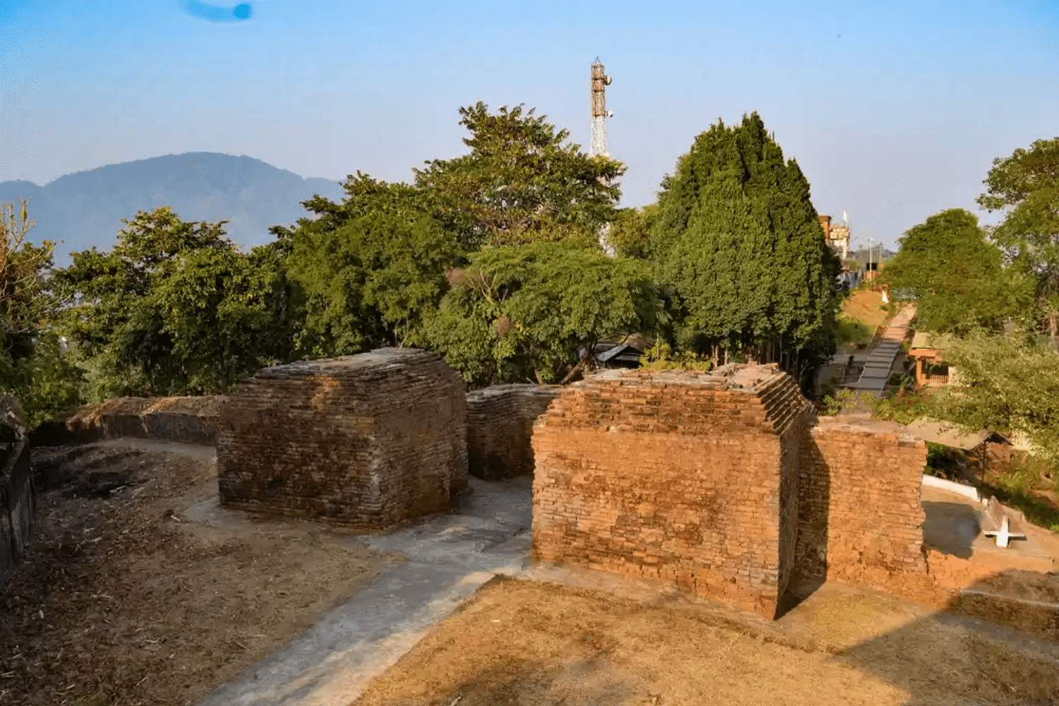 blog-images