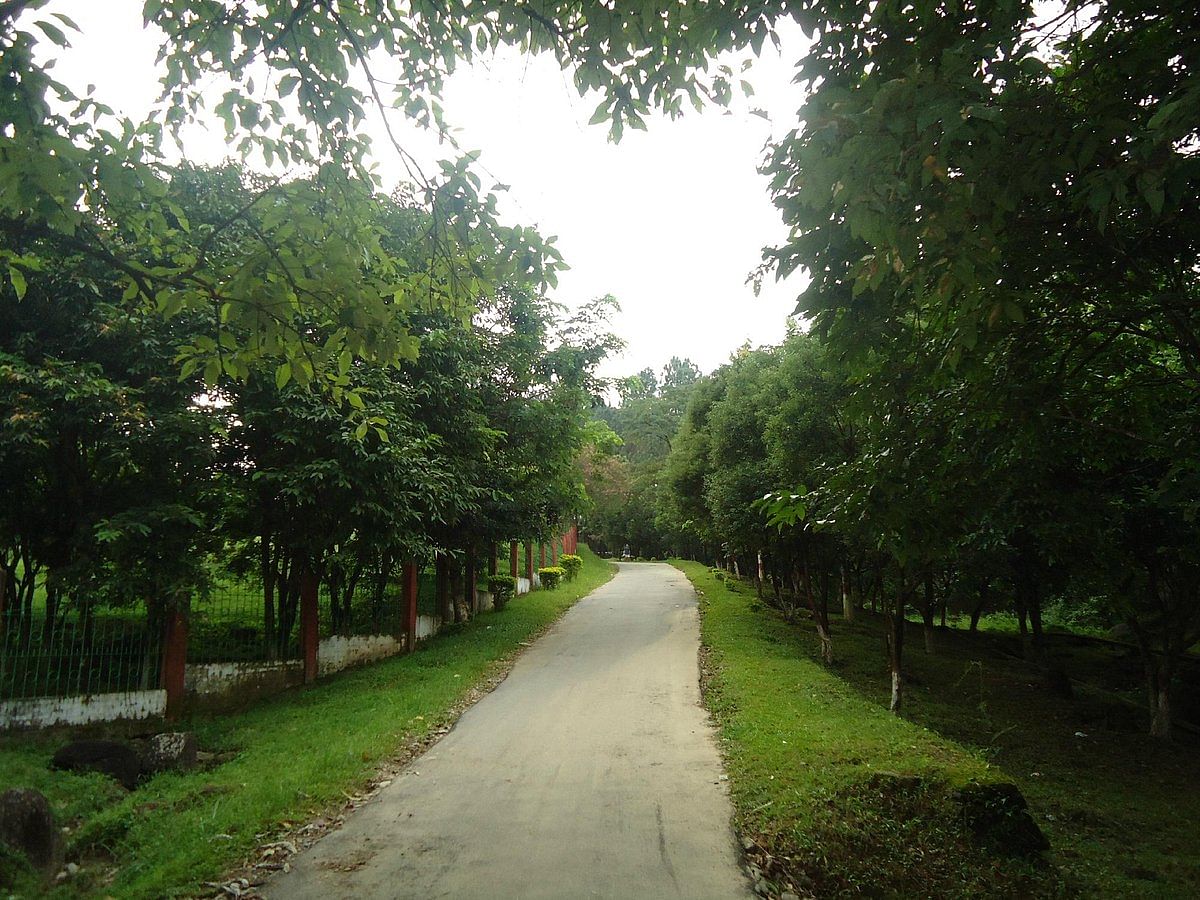 blog-images