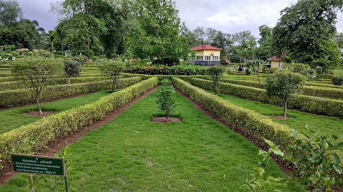 blog-images