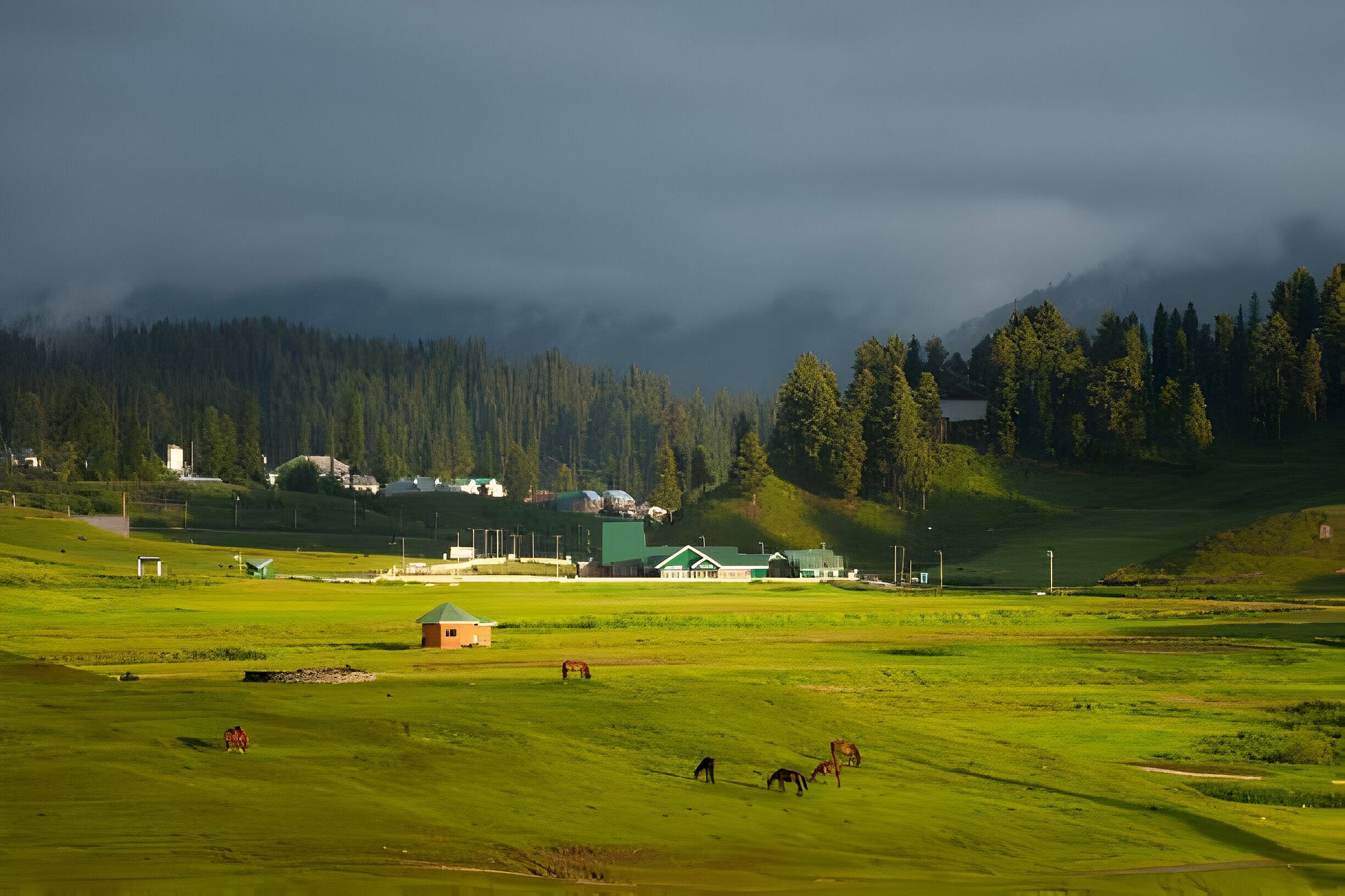 blog-images