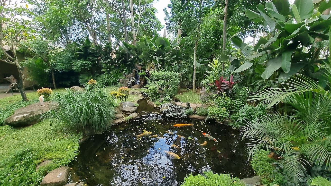 blog-images