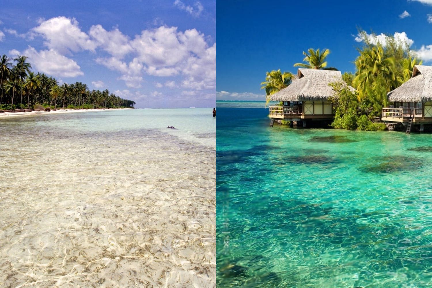 lakshadweep-vs-maldives