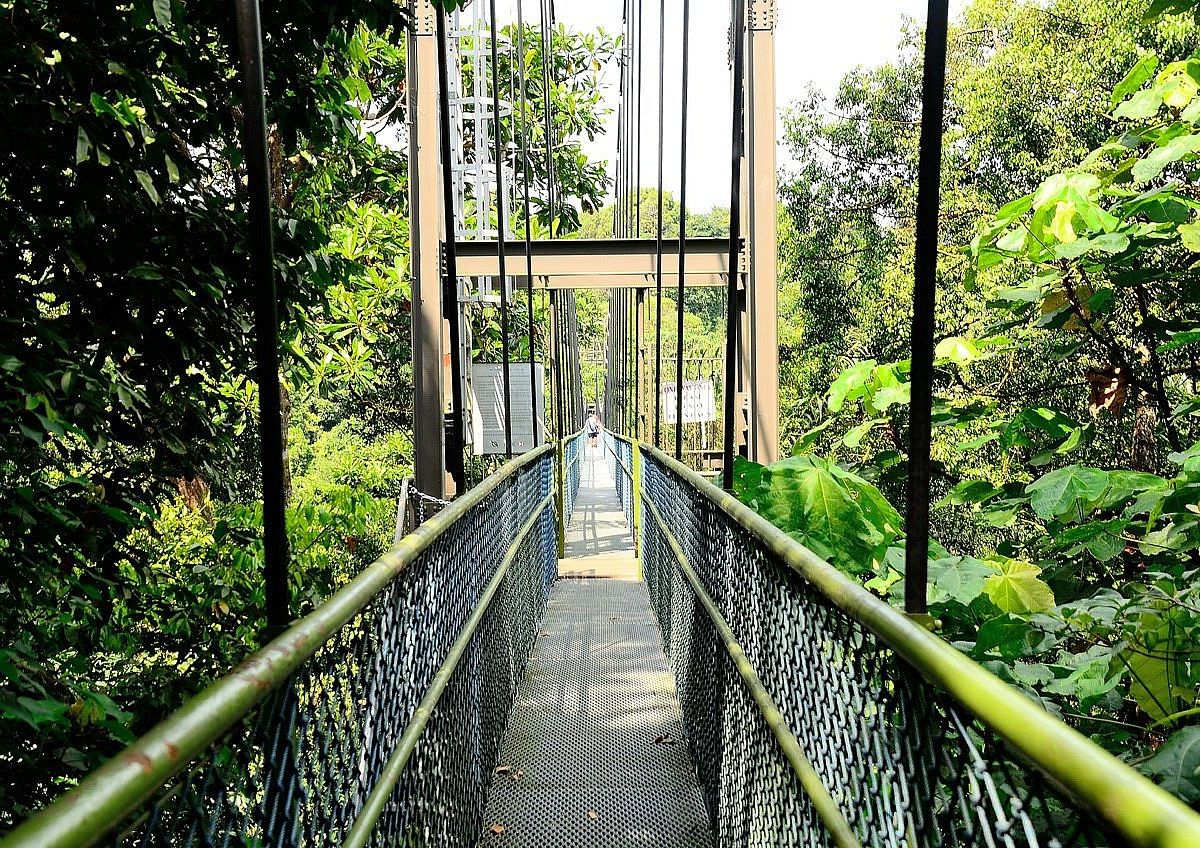 blog-images