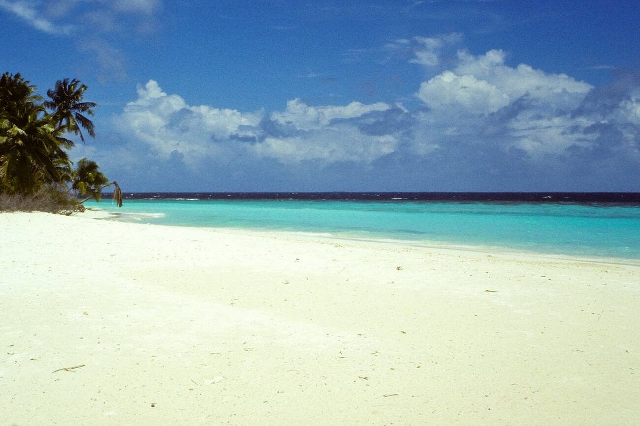 blog-images