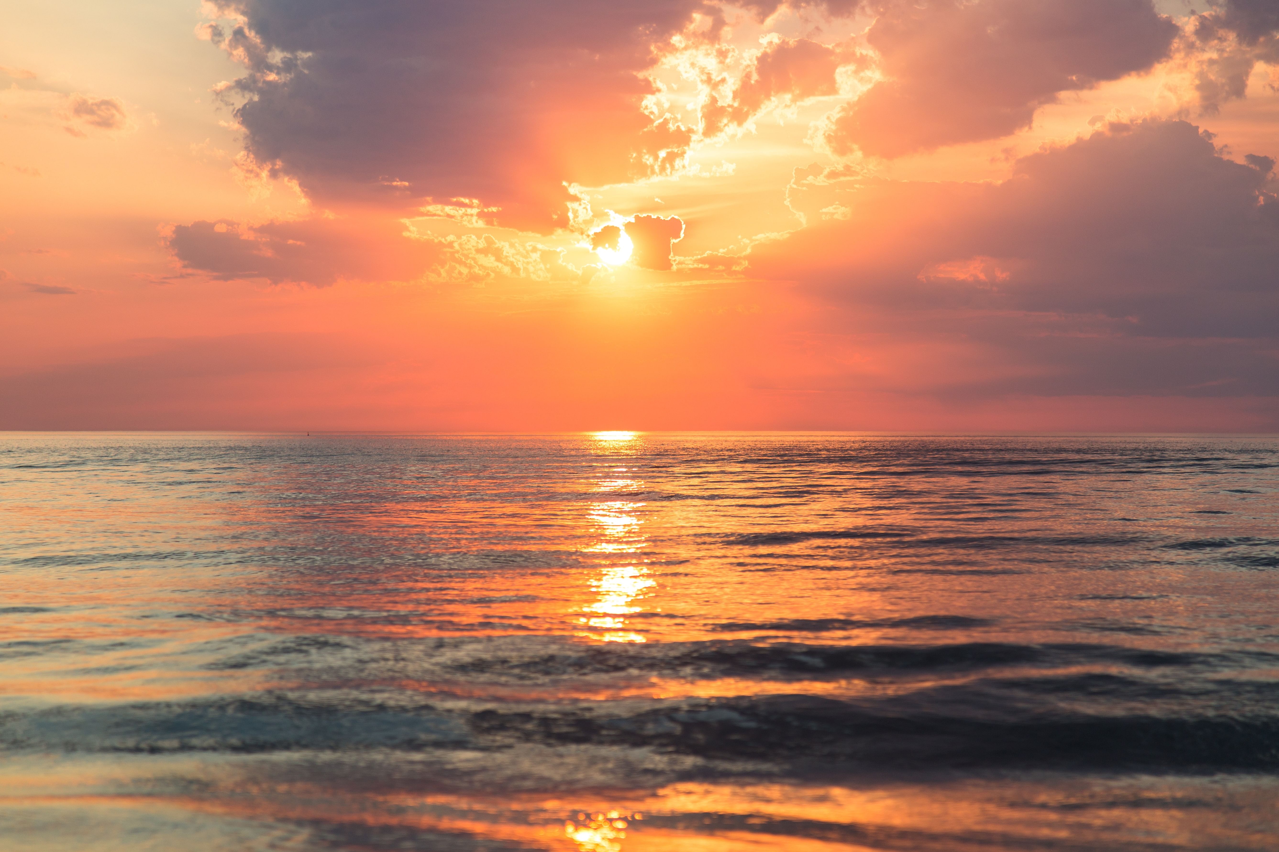 sebastien-gabriel-imlv9jlb24-unsplash