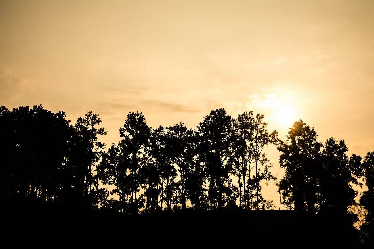blog-images