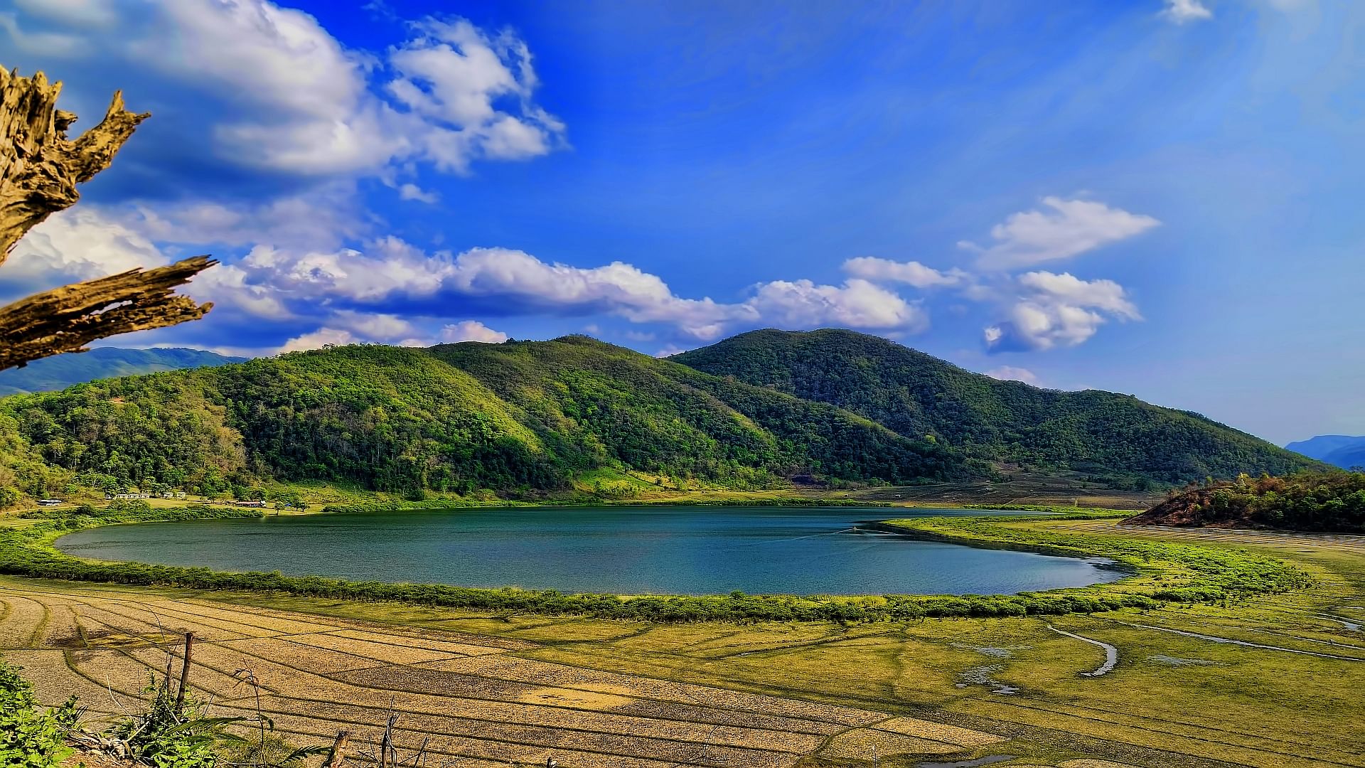 blog-images