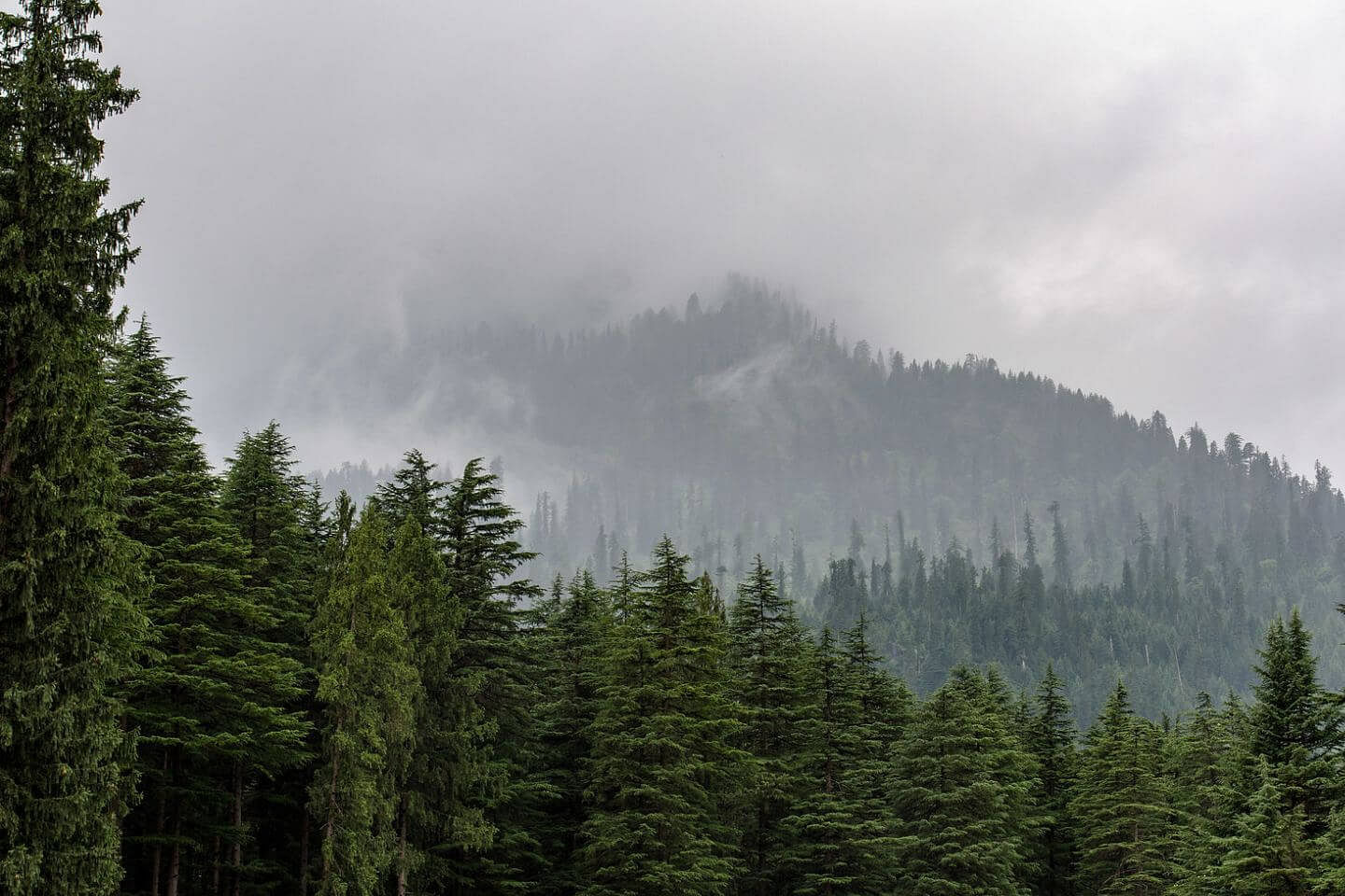 blog-images