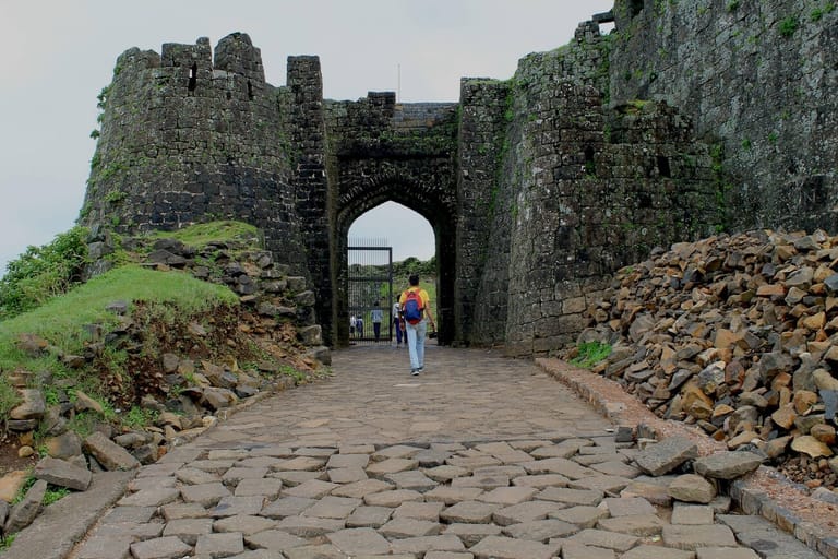 33995e54-fbb2-4d77-9d21-9a3f8237218c