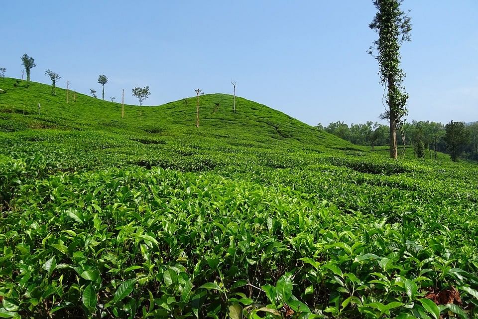 blog-images