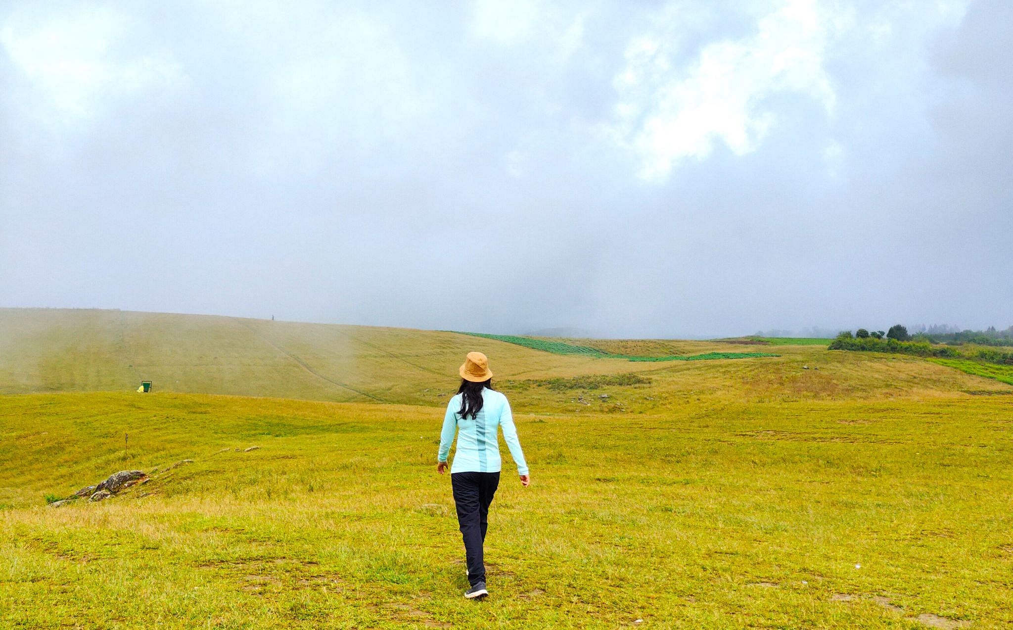 blog-images