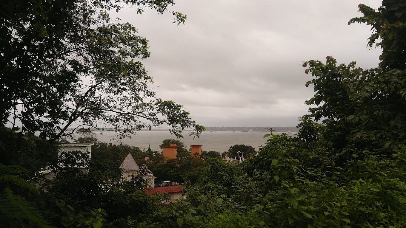 blog-images