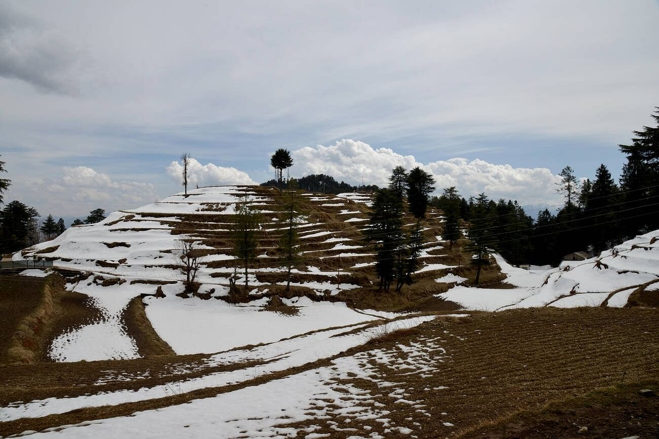 blog-images