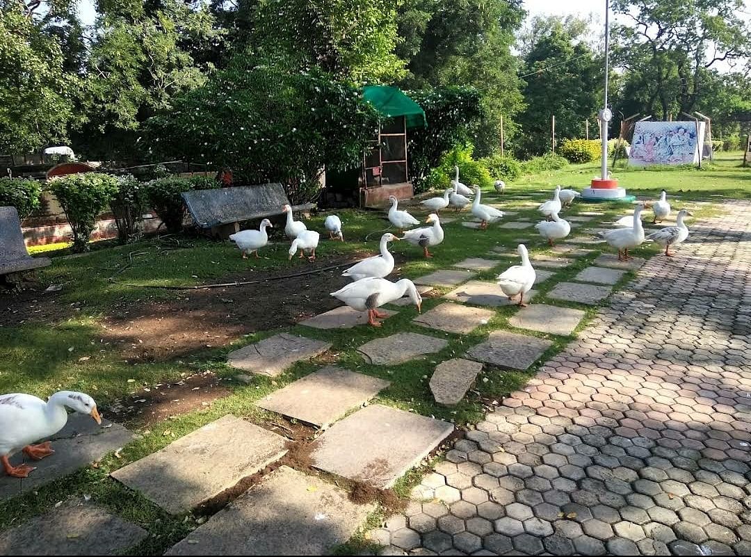 blog-images