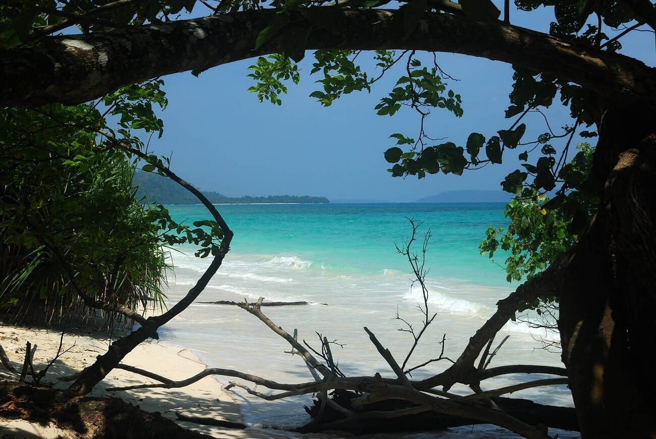 blog-images
