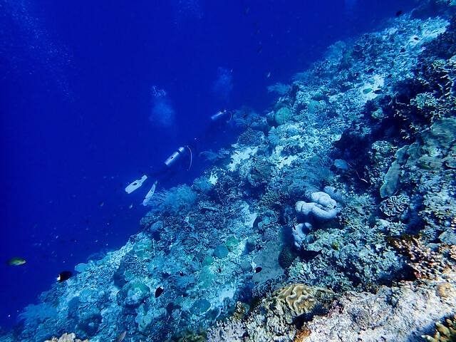 blog-images