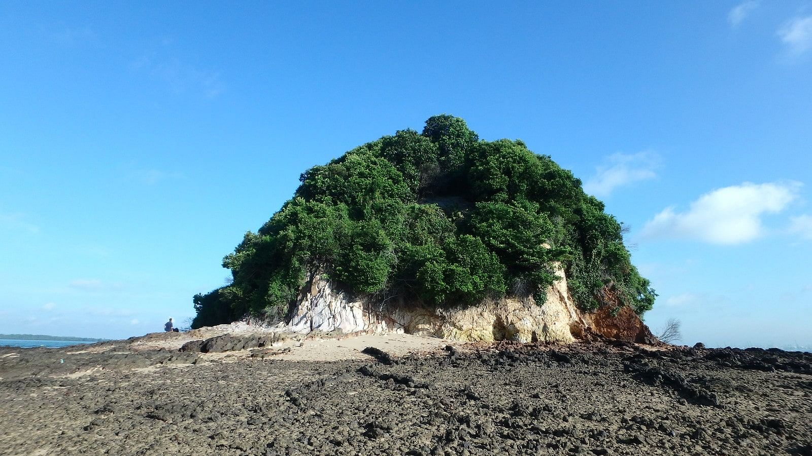 blog-images